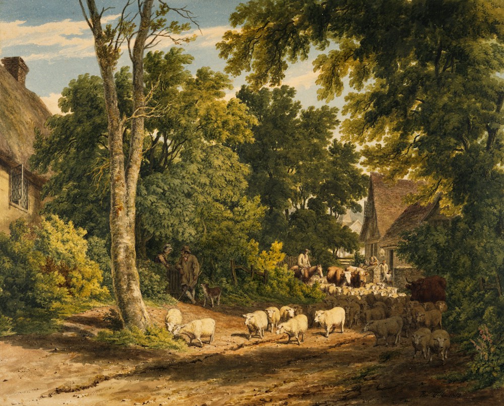 Tussen licht en tijd